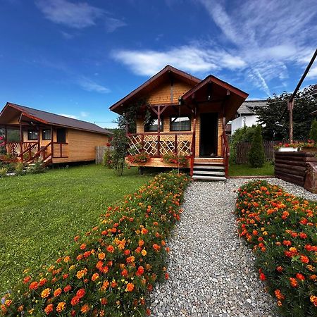 Willa Baltina Parc Transfagarasan Curtea de Argeş Zewnętrze zdjęcie