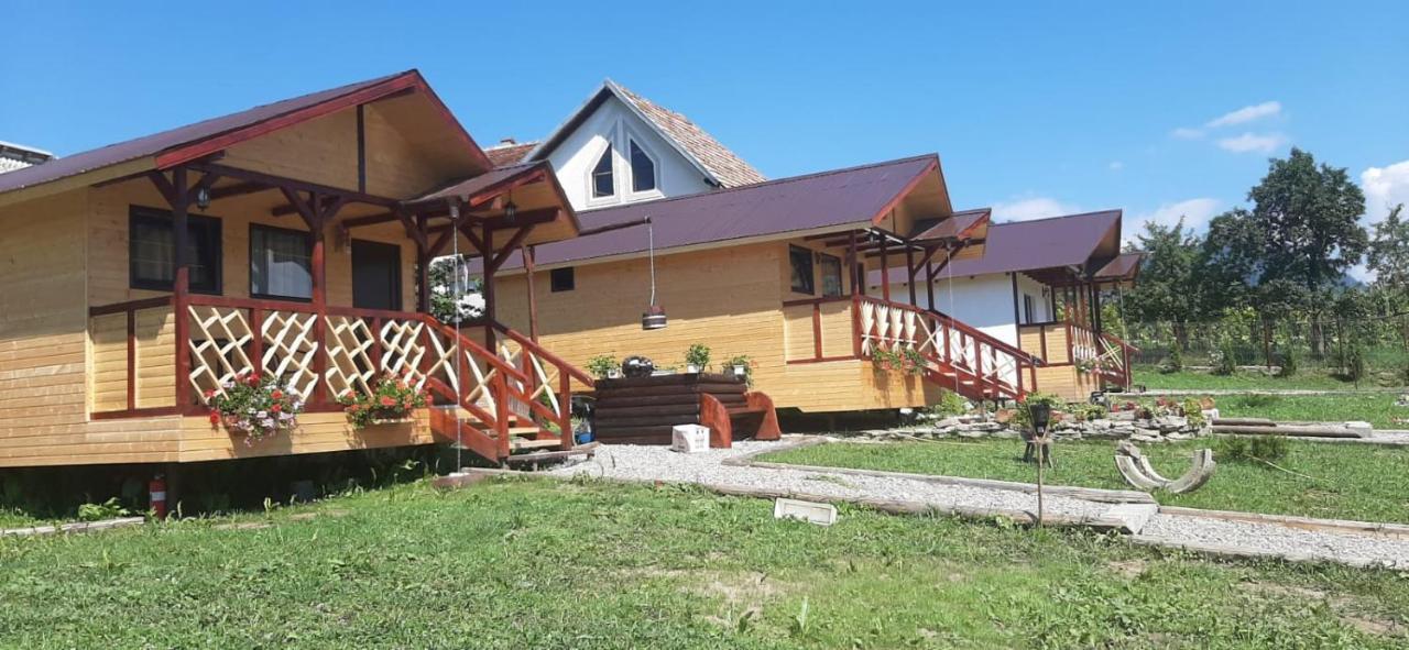 Willa Baltina Parc Transfagarasan Curtea de Argeş Zewnętrze zdjęcie