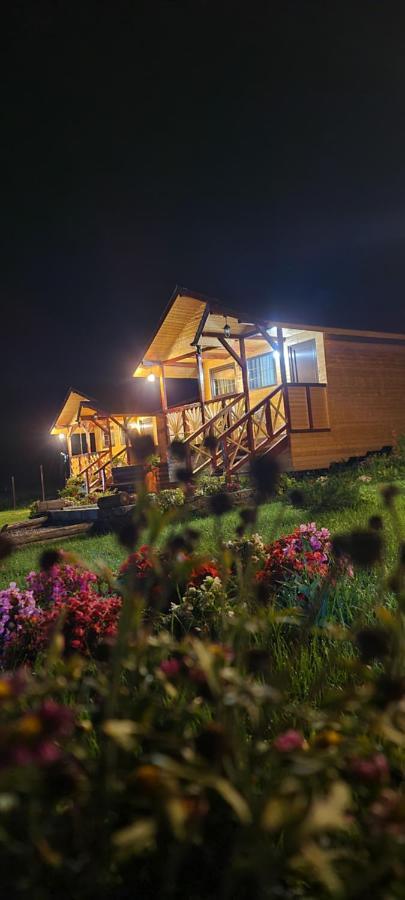 Willa Baltina Parc Transfagarasan Curtea de Argeş Zewnętrze zdjęcie