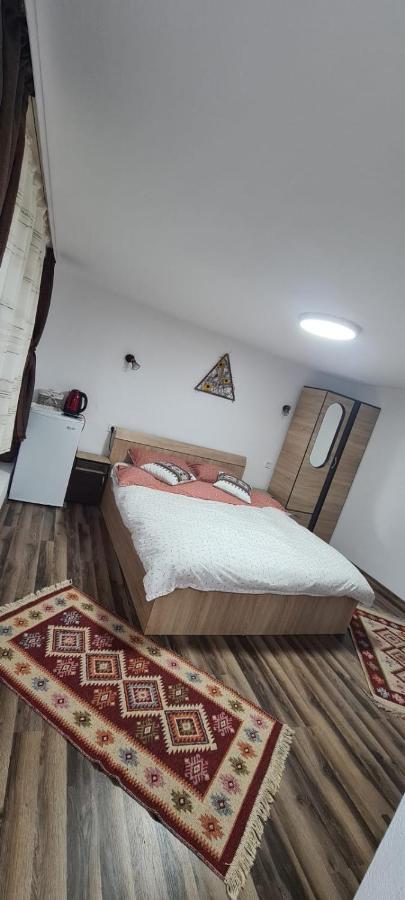 Willa Baltina Parc Transfagarasan Curtea de Argeş Zewnętrze zdjęcie