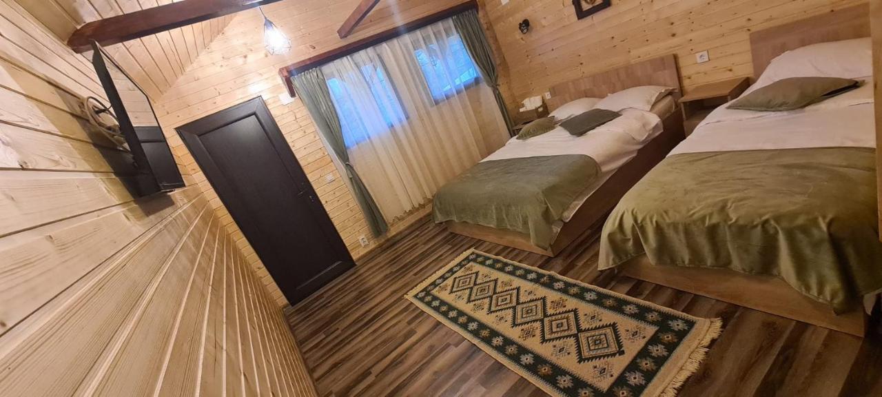 Willa Baltina Parc Transfagarasan Curtea de Argeş Zewnętrze zdjęcie