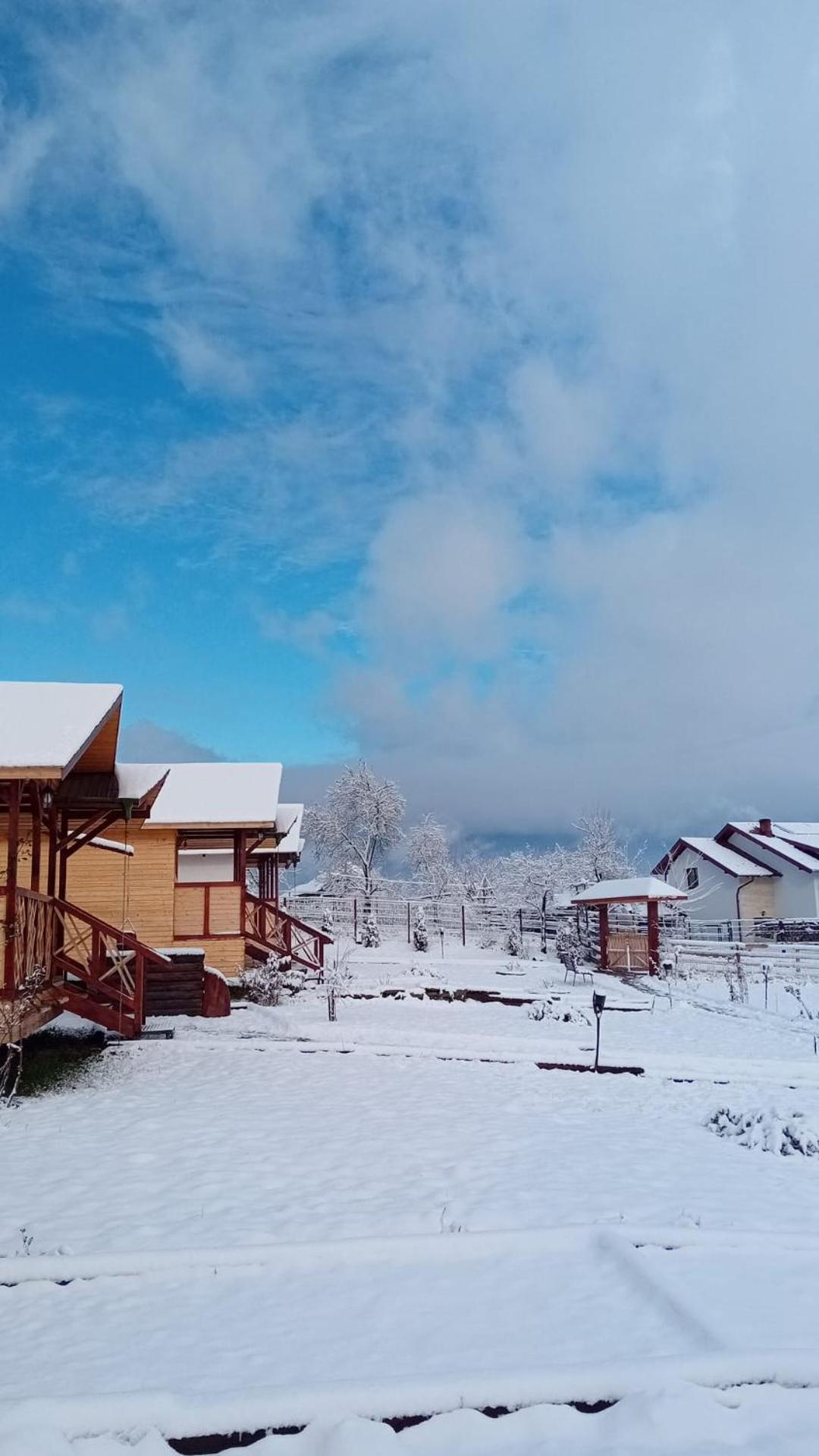 Willa Baltina Parc Transfagarasan Curtea de Argeş Zewnętrze zdjęcie