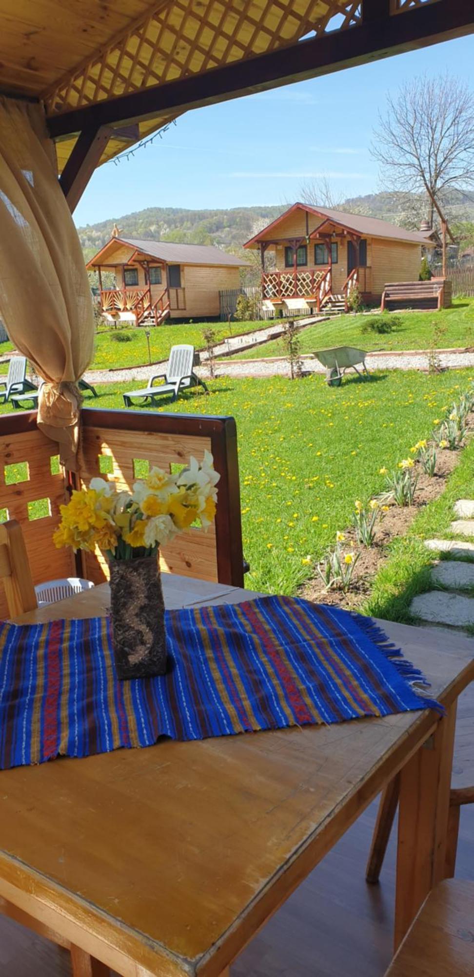 Willa Baltina Parc Transfagarasan Curtea de Argeş Zewnętrze zdjęcie