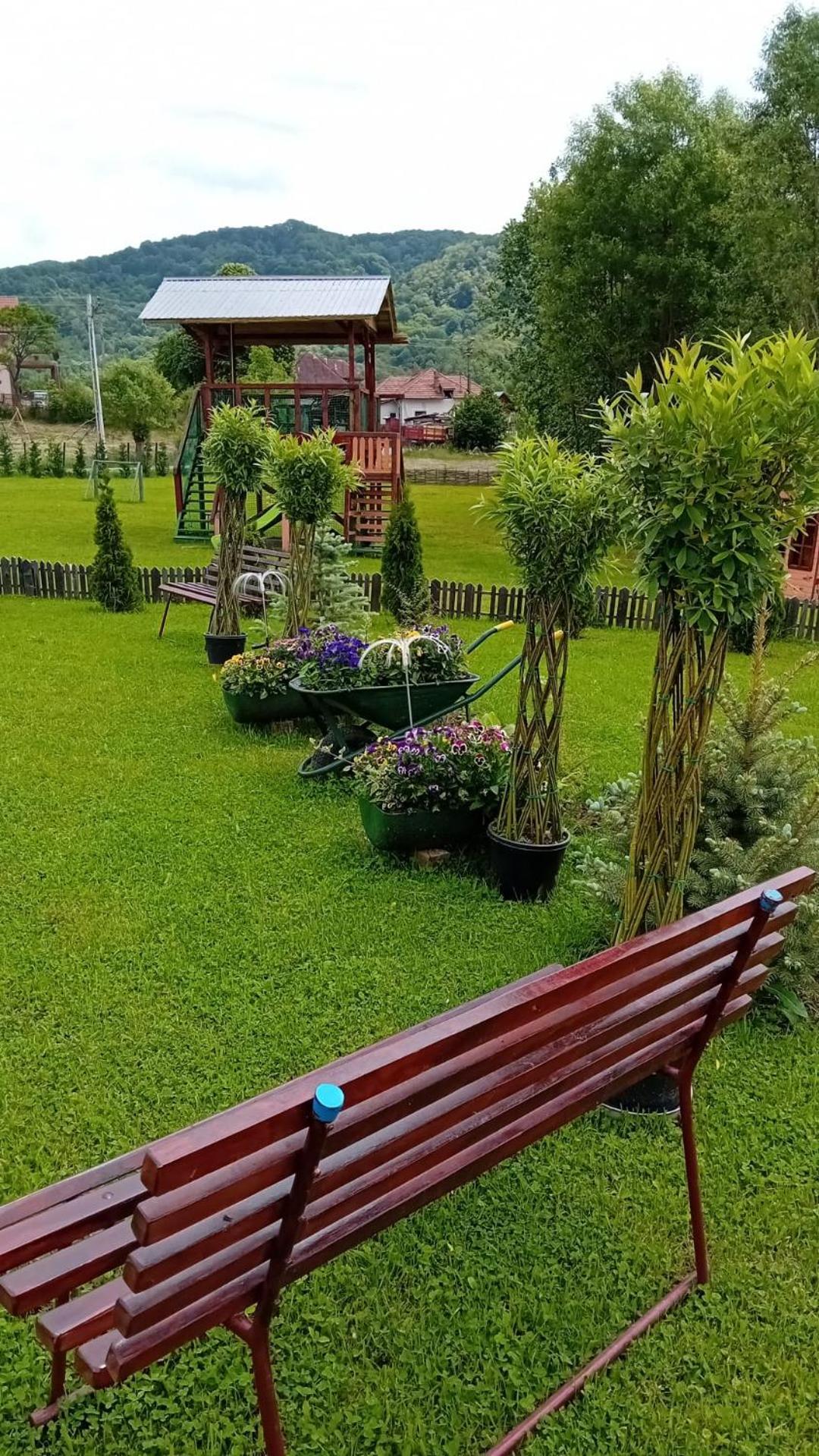 Willa Baltina Parc Transfagarasan Curtea de Argeş Zewnętrze zdjęcie